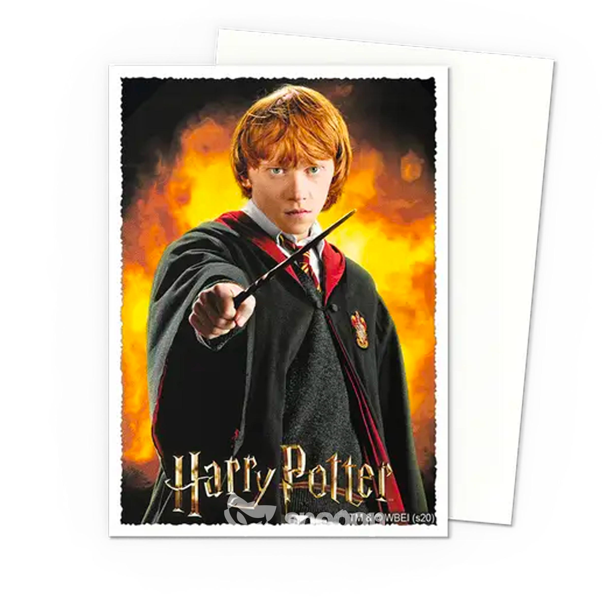 Sleeves | Dragon Shield | Standard Art Sleeves | Wizarding World : Ron Weasley | 100 Pièces 🎴