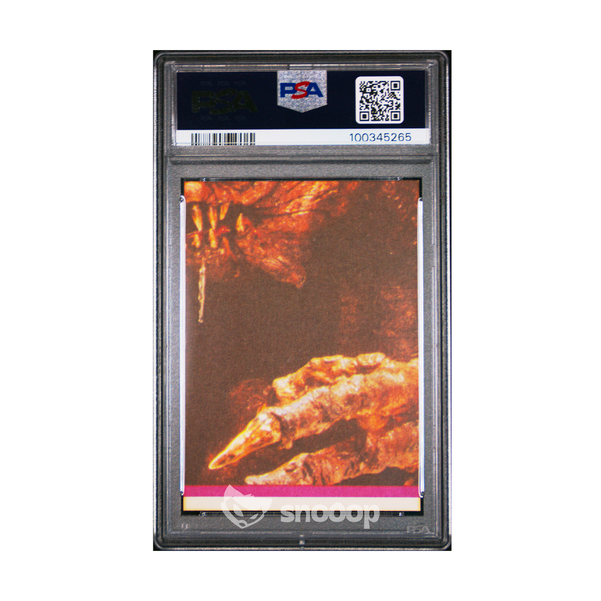 Carte Gradée | Topps | PSA | Luke Skywalkwer Return of Jedi Stickers | PSA 6 | 🇬🇧