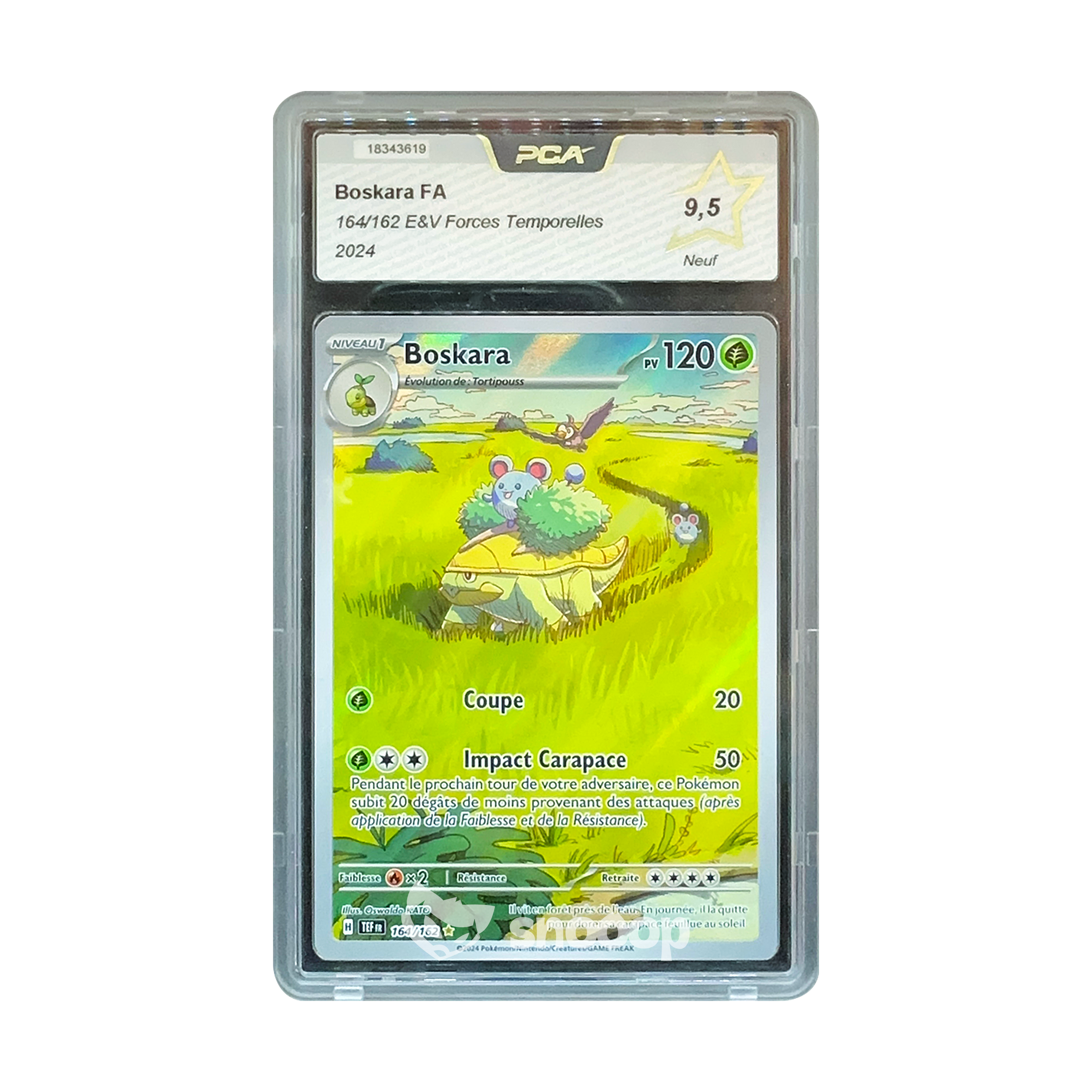 Carte Gradée | Pokémon | PCA | 2024 Boskara FA E&V Forces Temporelles (#164/162) | PCA 9.5 | 🇫🇷