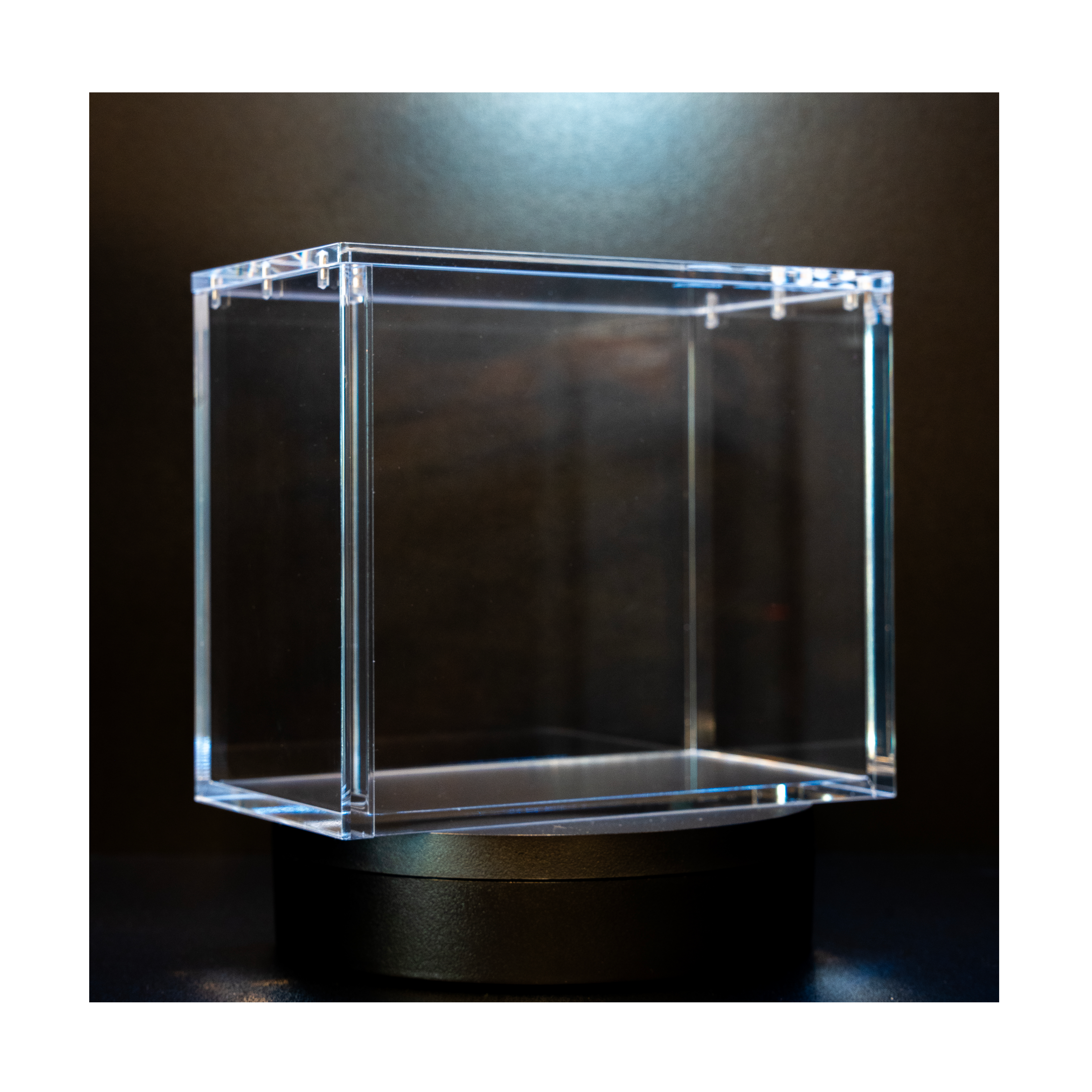 Acrylique | Snooop | Acrylique Aimantée pour Display Pokemon | Transparent 🦝