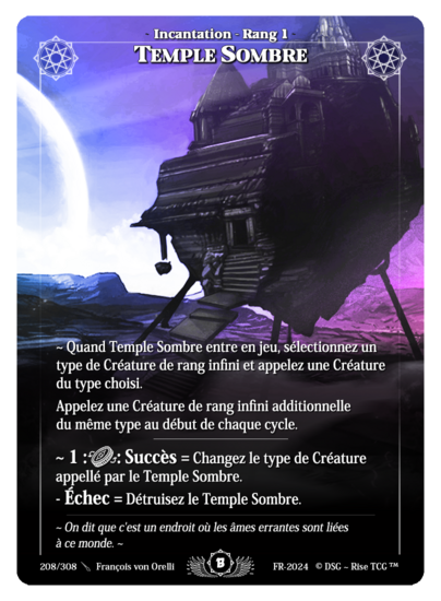 Rise TCG | Beta édition standard | 208 / 308 | dark temple rare | 🇫🇷