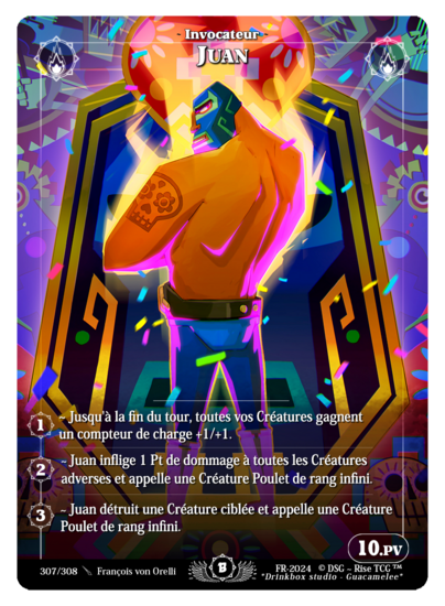 Rise TCG | Beta édition standard | 307 / 308 | juan rare | 🇫🇷