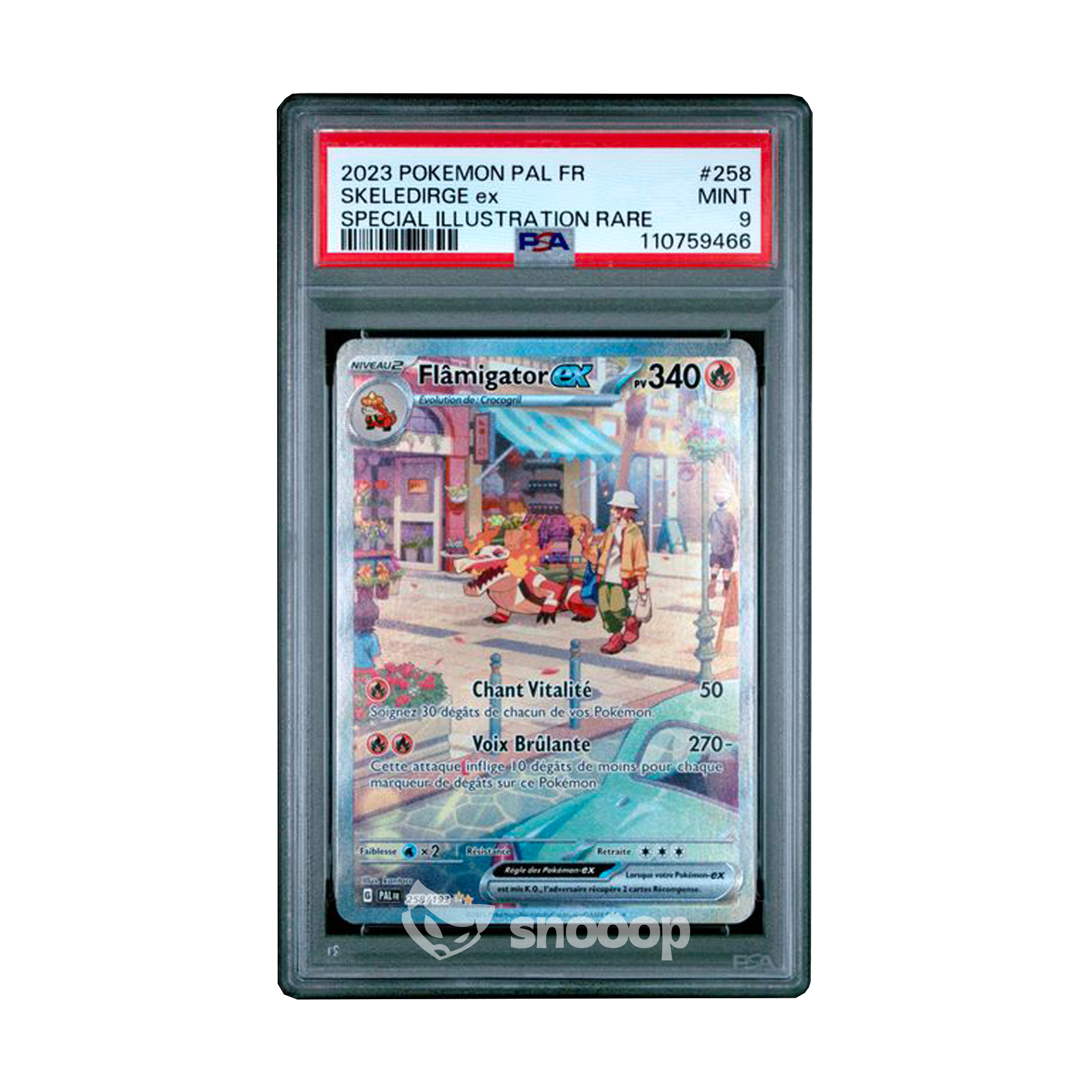 Carte Gradée | Pokémon | PSA | Flamigator EX PAL | PSA 9 | 🇫🇷
