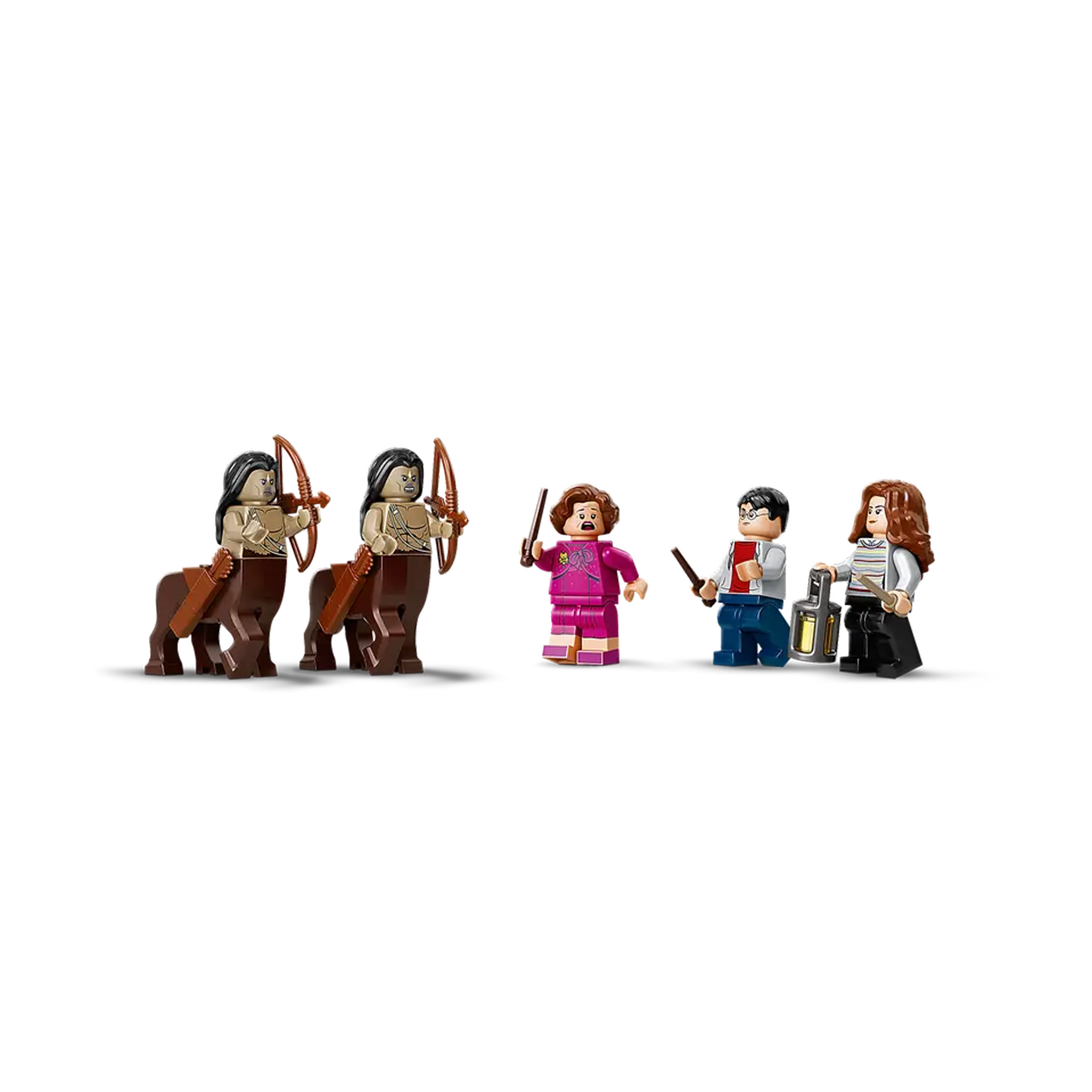 LEGO | 75967 | Harry Potter™ | La Forêt interdite : la rencontre d'Ombrage