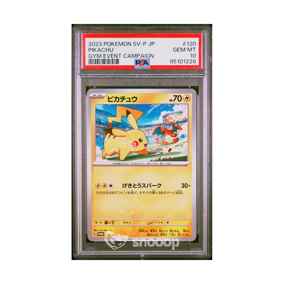 Carte Gradée | Pokémon | PSA | Pikachu Gym Event Campaign | PSA 10 | 🇯🇵