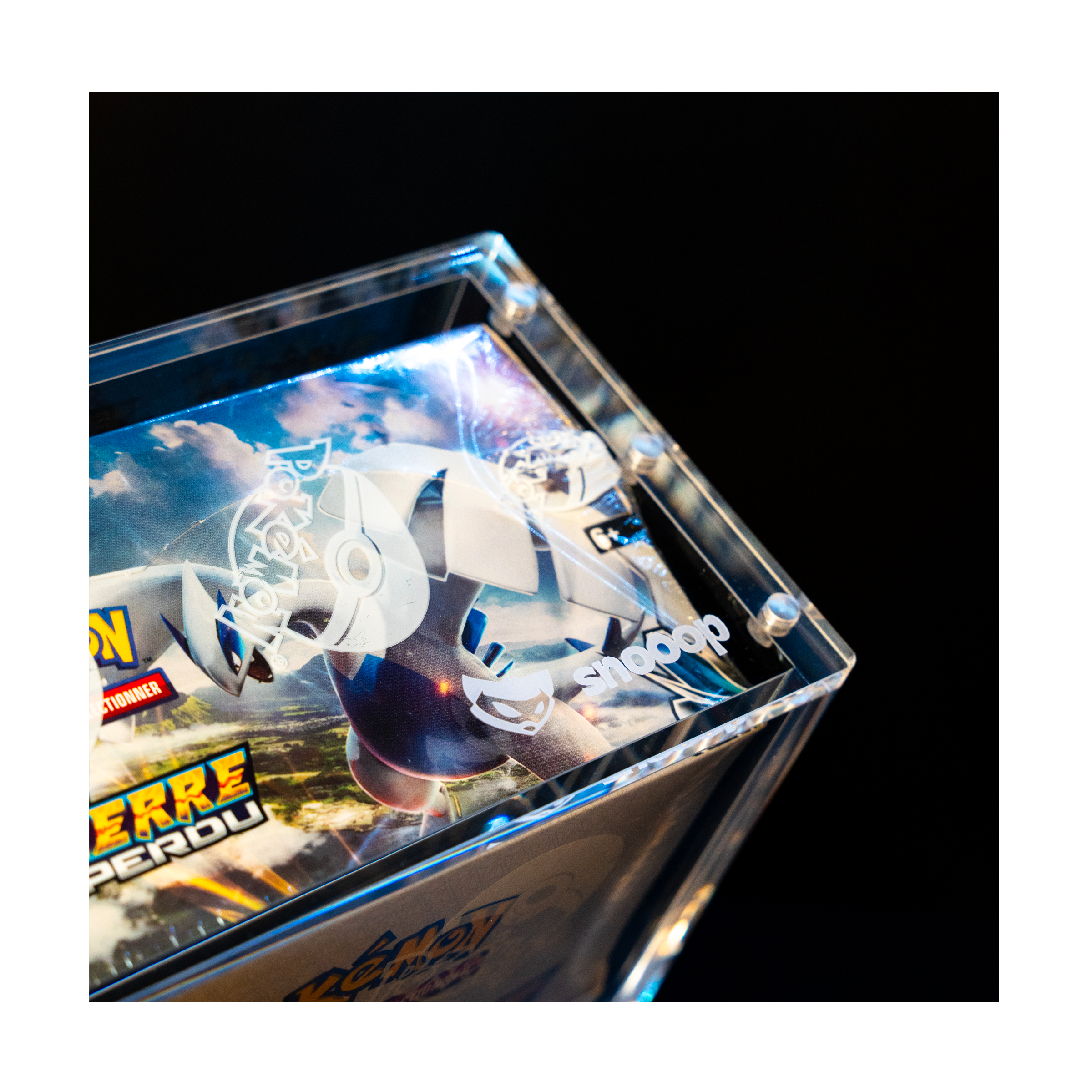 Acrylique | Snooop | Acrylique Aimantée pour Display Pokemon | Transparent 🦝